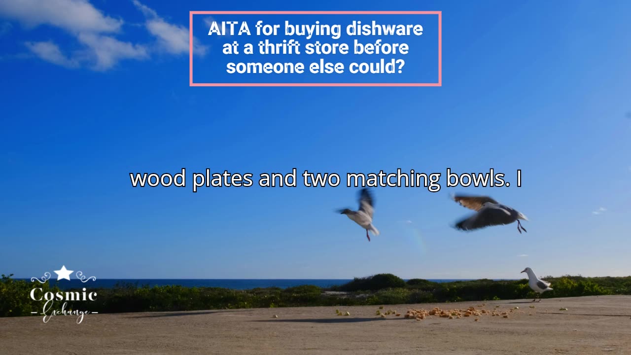 AITA for buying dishware at a thrift store before someone else could?