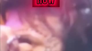 How much would tommy Lee drink?!