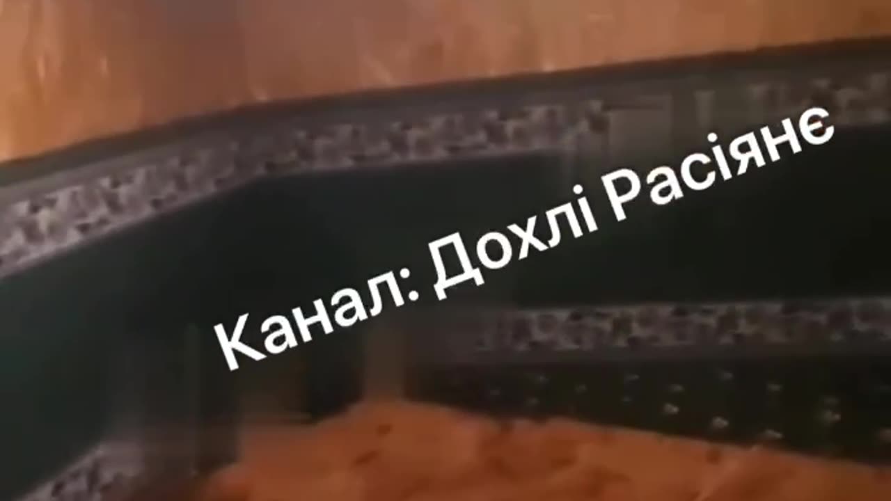 Russians Losing Their Minds About Government Setting Up Mobile "Prayer Boxes" Around Moscow for Migrants