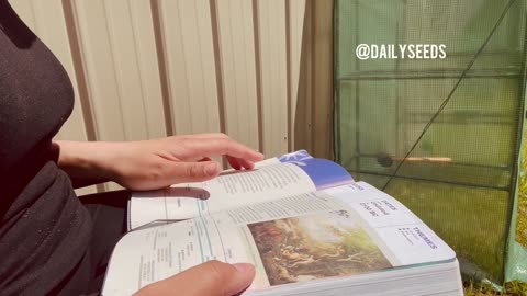 The Beginning | Genesis 1 | Outdoor Bible Reading