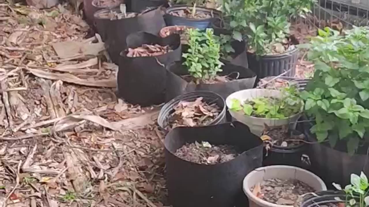 Yes it's a wonderful life