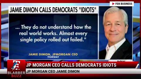 JP Morgan CEO Calls Democrats Idiots