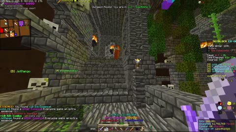 Skyblock FLOOR 7 [#2042]