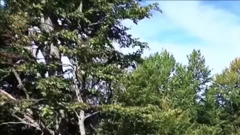 MAKEDONSKO SONCE