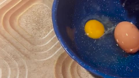 😂🥚 This Egg is Too Big for Words! | FunFM