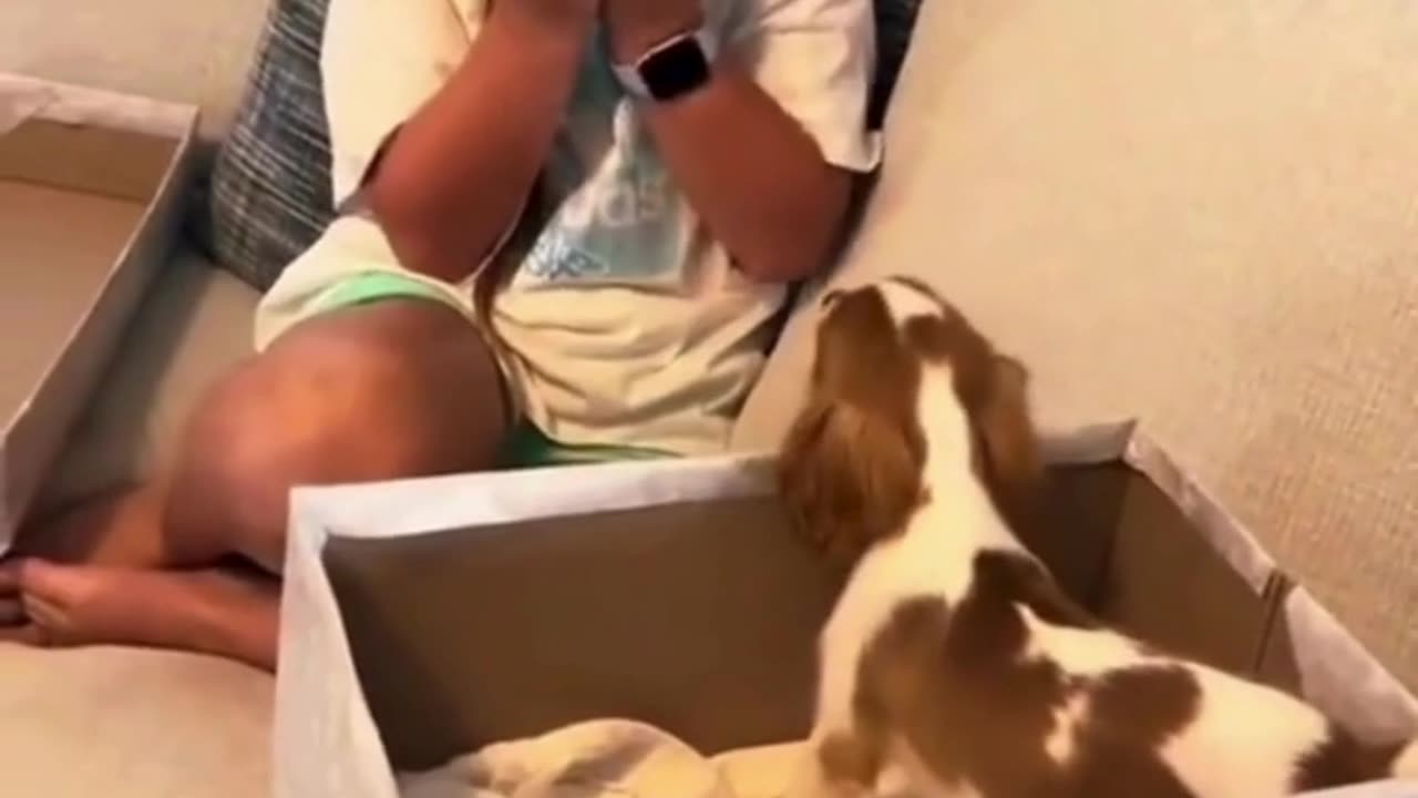 👶🐶 Baby Meets Puppy for the First Time – Cutest Reaction Ever! 💕