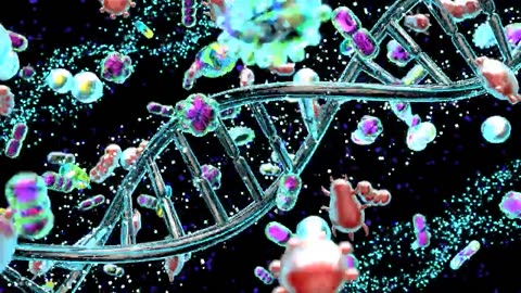 DNA MOLECULE