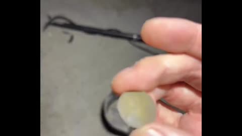 LIVE Digging up a 1961 coin