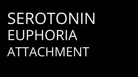 The Chemical Enigma of Love: Are We Just Biological Machines? - Part 1