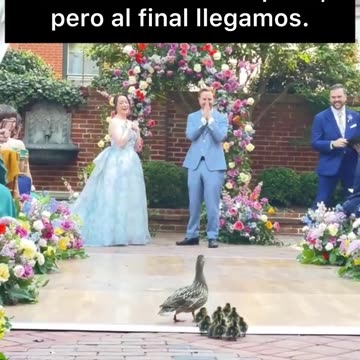 Disculpad por el retraso Vía / decatur house_rentals ig