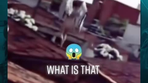 😨👻 Are These Real? Unexplained Mystery! | TheHauntingHour