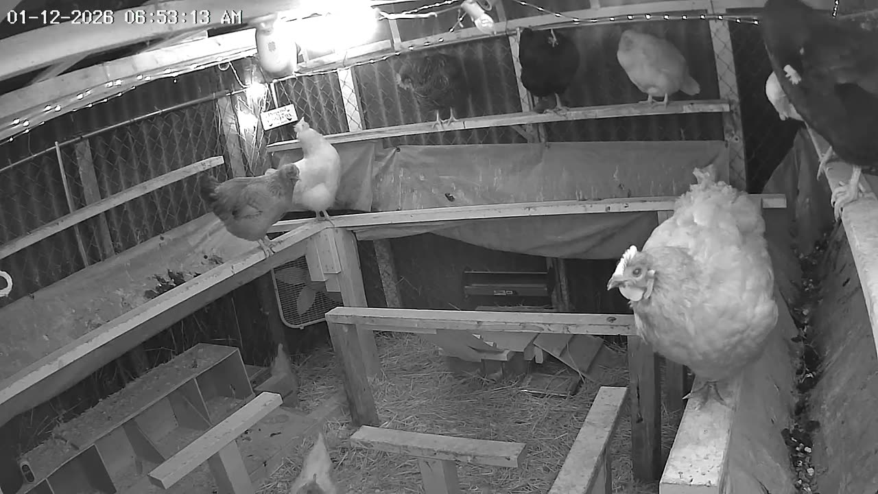 Monday Morning Wake Up!