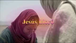 Jesús Lloró Juan 11: 28 al 37 _ Devocional.