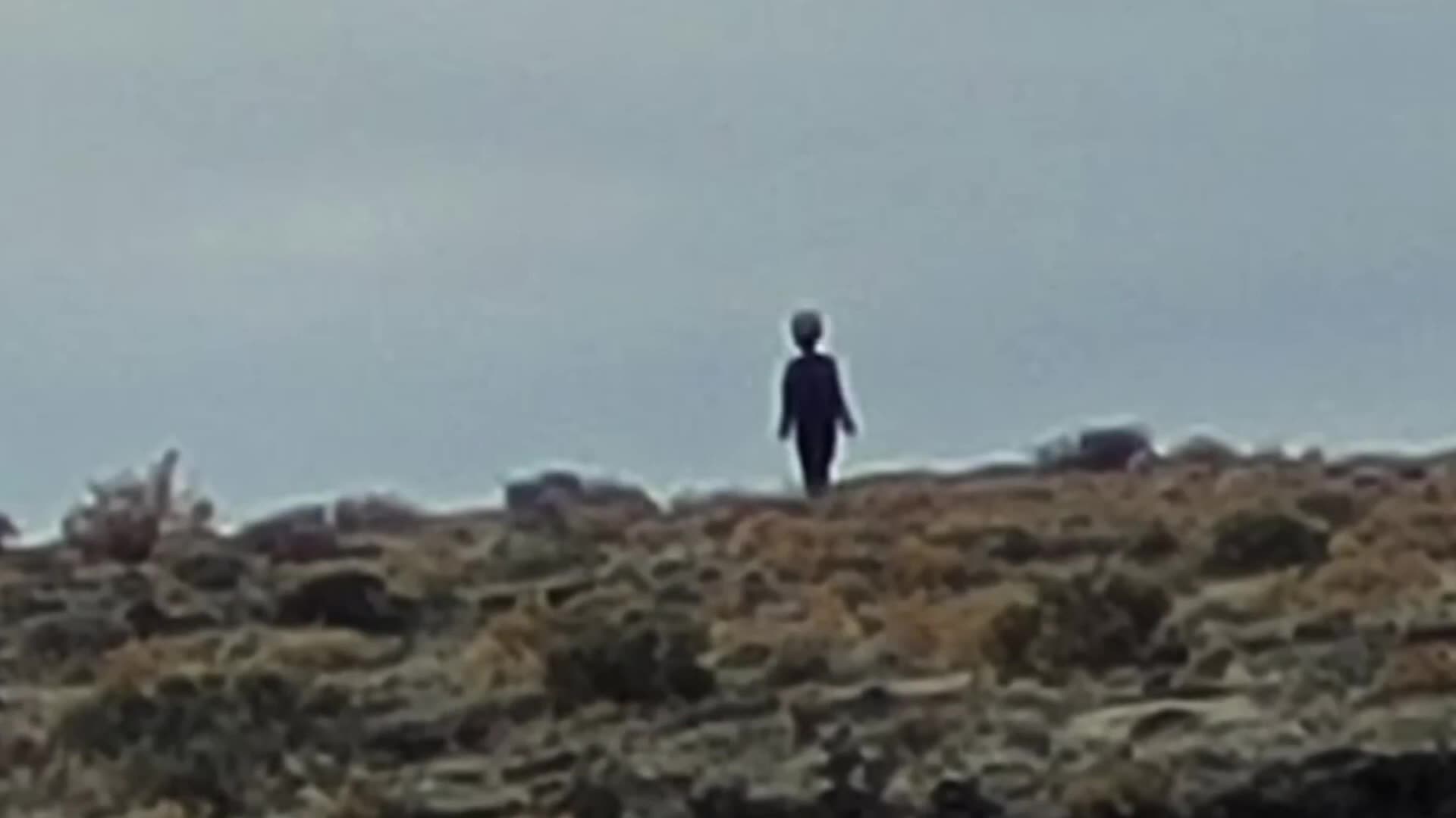 Man Gives Chilling Update On The Alien Entity In Panama Its Still Alive