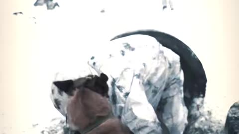 Some of the Most Intense Live-Fire Exercises I've Ever Seen