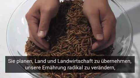 Die Agenda Vision und ungewisse Zukunft engUTdeu.mp4