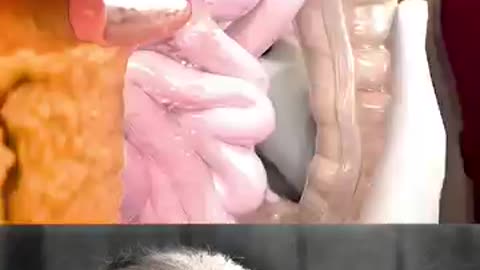 bullet safety
