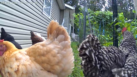 Not Camera Shy