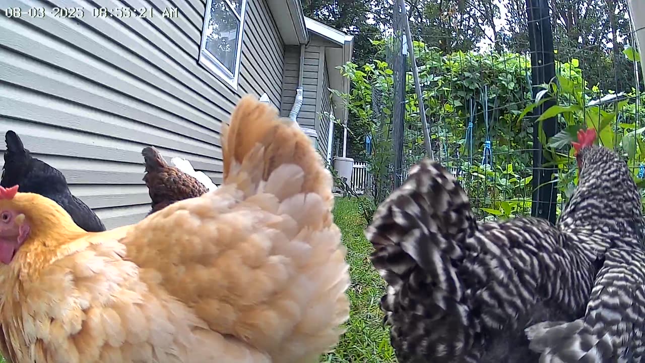 Not Camera Shy