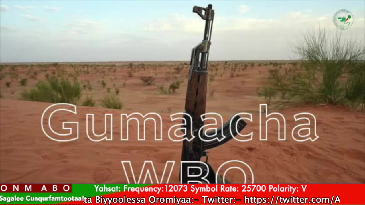 Gabaasa Gumaacha ONM-ABO Ebla 8-2025 itti dhiyaadhaa!