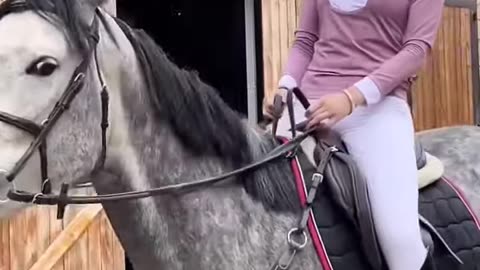 #doris #horseriding #foryou #girl #trending #horse #fastx