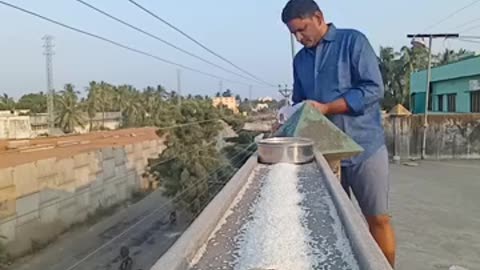 "Feeding Time! Watch These Hungry Parrots Go Wild!"