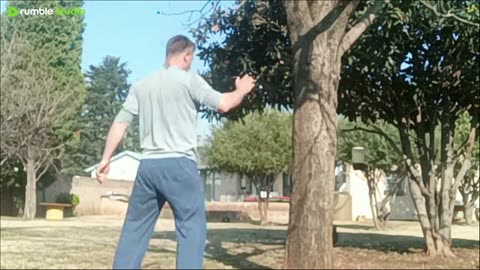 puffADA vs Tree - Round 4 - live mma training
