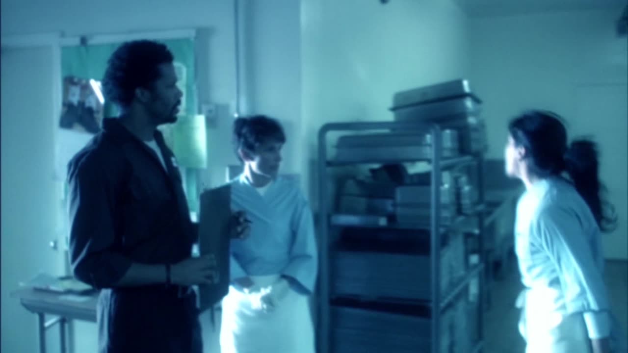 cycle of violence - zeitgeist movement advert