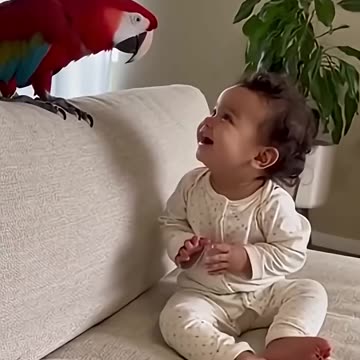 cute little baby funny video