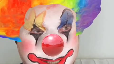 Dr Mc Honk The chronicles