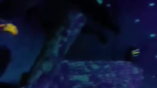 Part 21a. Watermark Version. I need to borrow this scarecrow for April Fools Day.