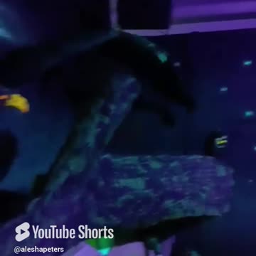 Part 21a. Watermark Version. I need to borrow this scarecrow for April Fools Day.