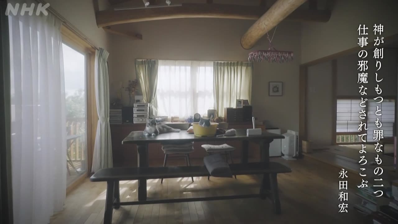 ネコメンタリー 猫も、杓子も。 永田和宏とトムとネム