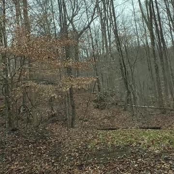 Off-Roading Adventure Deep in the Muddy Woods 2n #jeep #jeepwrangler #offroad
