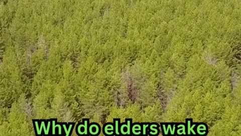 Old Age Sleeplessness Facts#SleepFix 😴 #BetterRest 💤 #NightHack 🌙 #DreamBig 🛌 #RelaxNow 🧘
