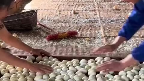 The incredible journey from egg to hatching ducks🦆