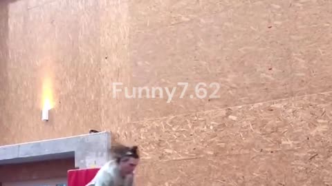 Big Fails 😂😂😂