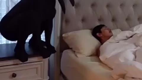 😂🐦 Her Laugh is Just Like a Bird! | FunFM