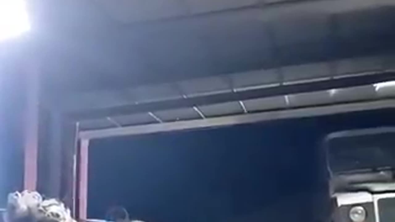 Would You Stay This Calm Near a Bear? 🐻