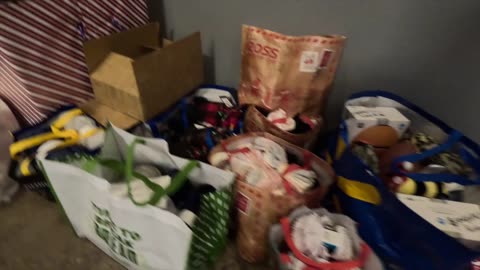 11 November 2025 LD12 Lobby and Donations quick video.