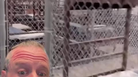 Welcome to Alligator Alcatraz 3,000-bed detention center BUILT in just 8 DAYS