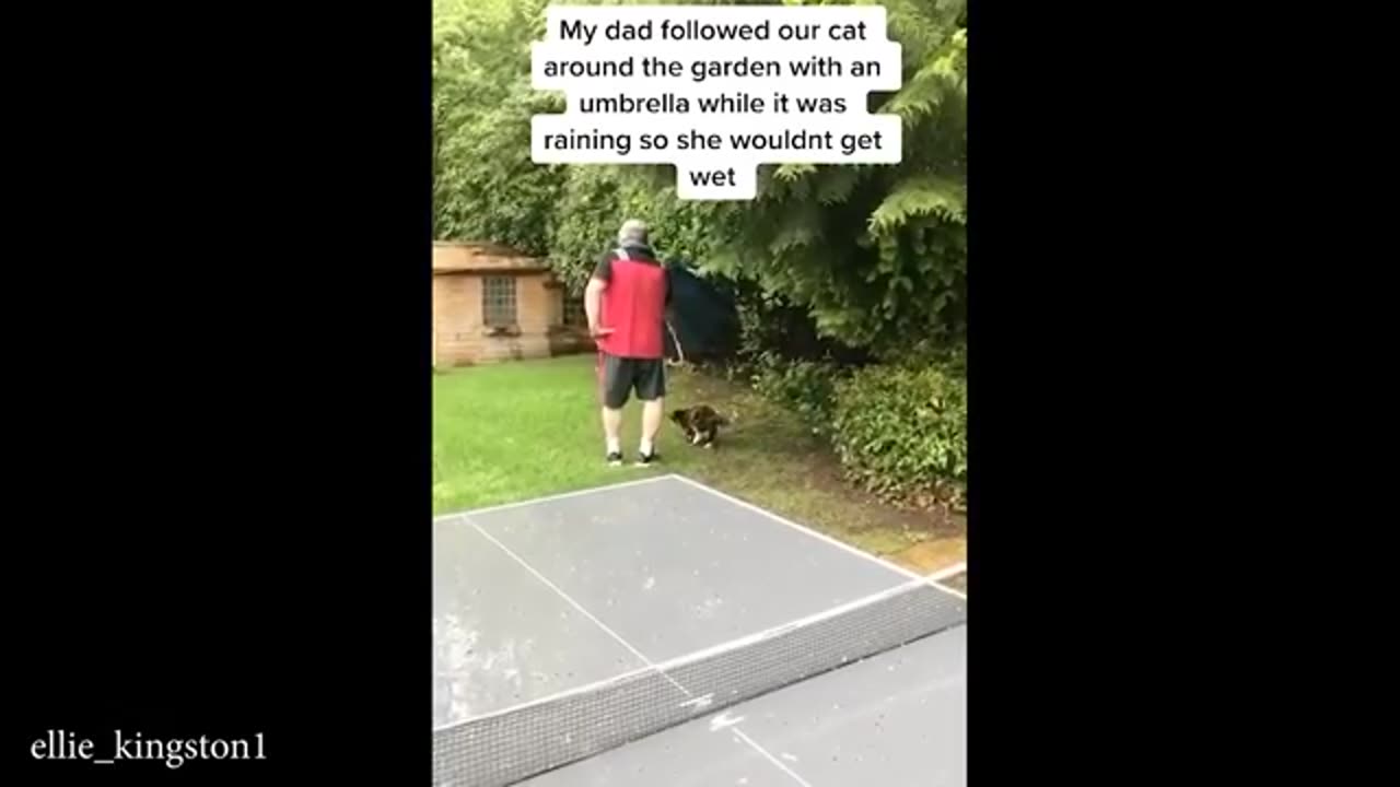 TRY NOT TO LAUGH 😆 Best Funny Videos Compilation 😂😁😆 Memes.