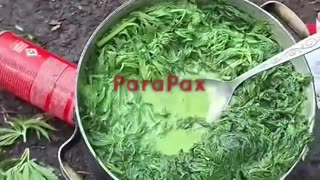 Russians Boiling Weed Plants with Milk