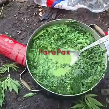 Russians Boiling Weed Plants with Milk