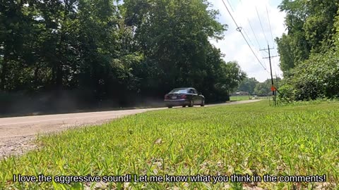 Evonne the Turbodiesel: She snarls!