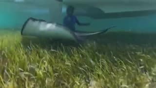 😂🏆 You Won't Believe What Happens Next... Almost | FunFM