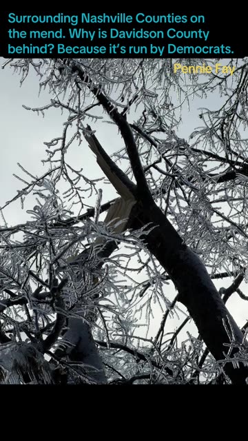 Nashville TN: I got my power back!