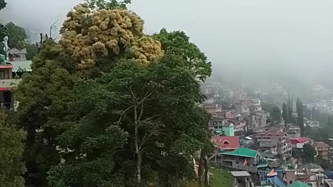 Bye Bye 👋👋 Darjeeling