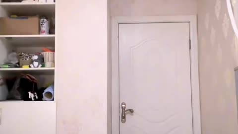 chainese videos.