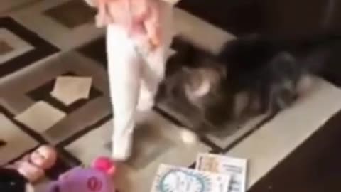 "Cat Slide Tackles Baby 😂 | Watch Till The End!"